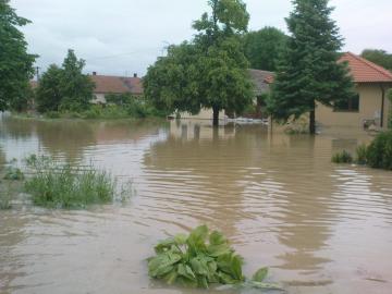 Žitavská ulica Žitavská ulica