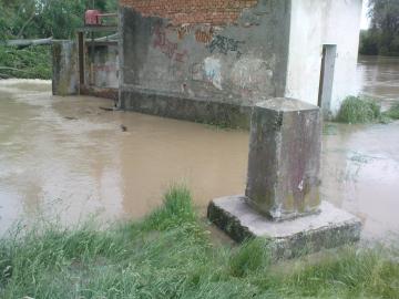 Zungov Zungov