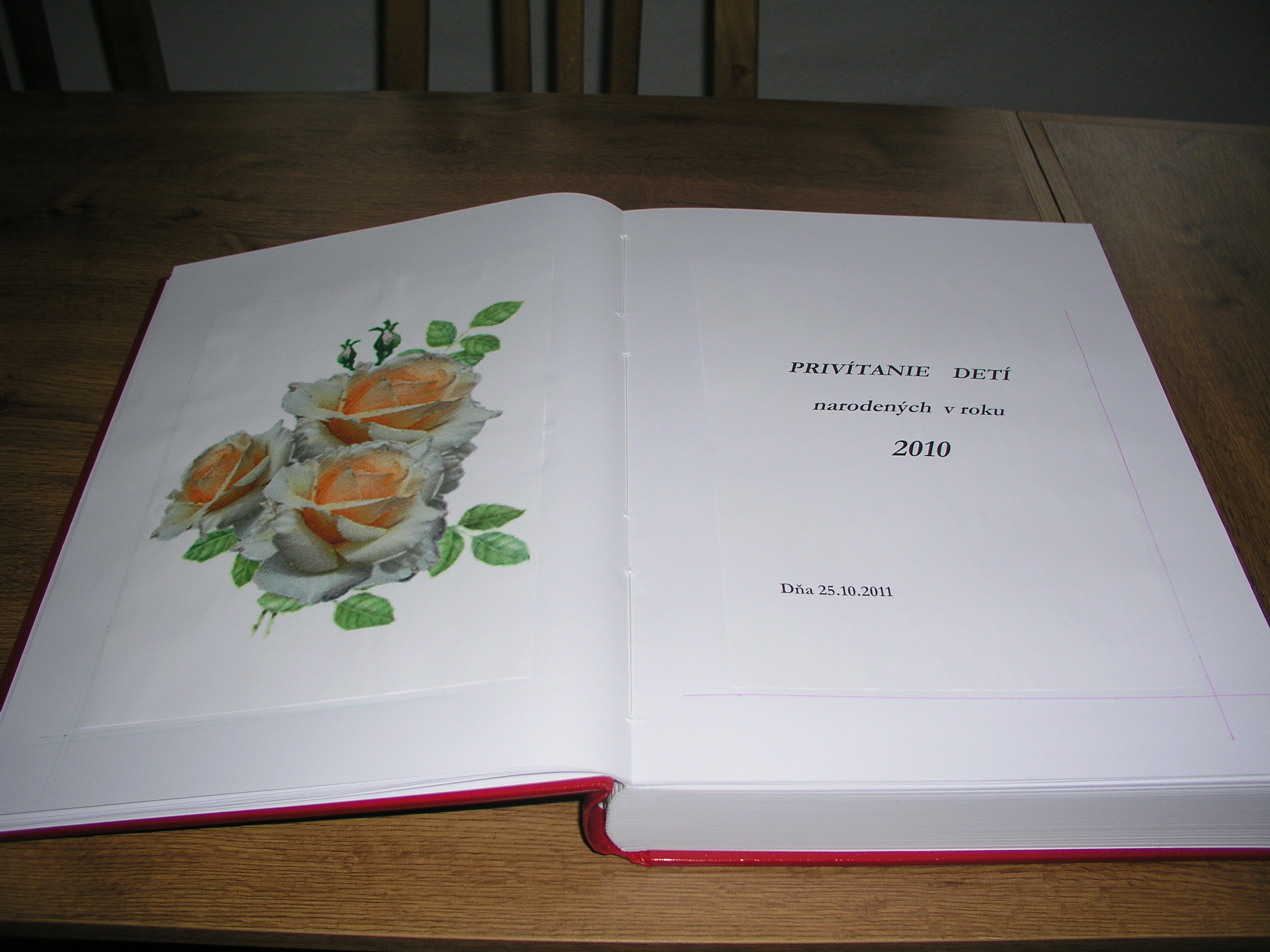 Fotogaléria Privítanie detí narodených v roku 2010 (11) Privítanie detí narodených v roku 2010