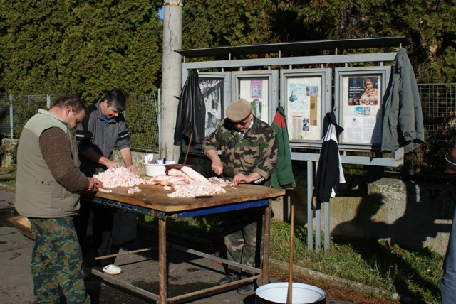 Fotogaléria Fašiangy 2014 (127) Fašiangy 2014