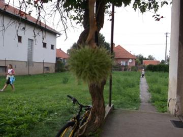 bez názvu bez názvu
